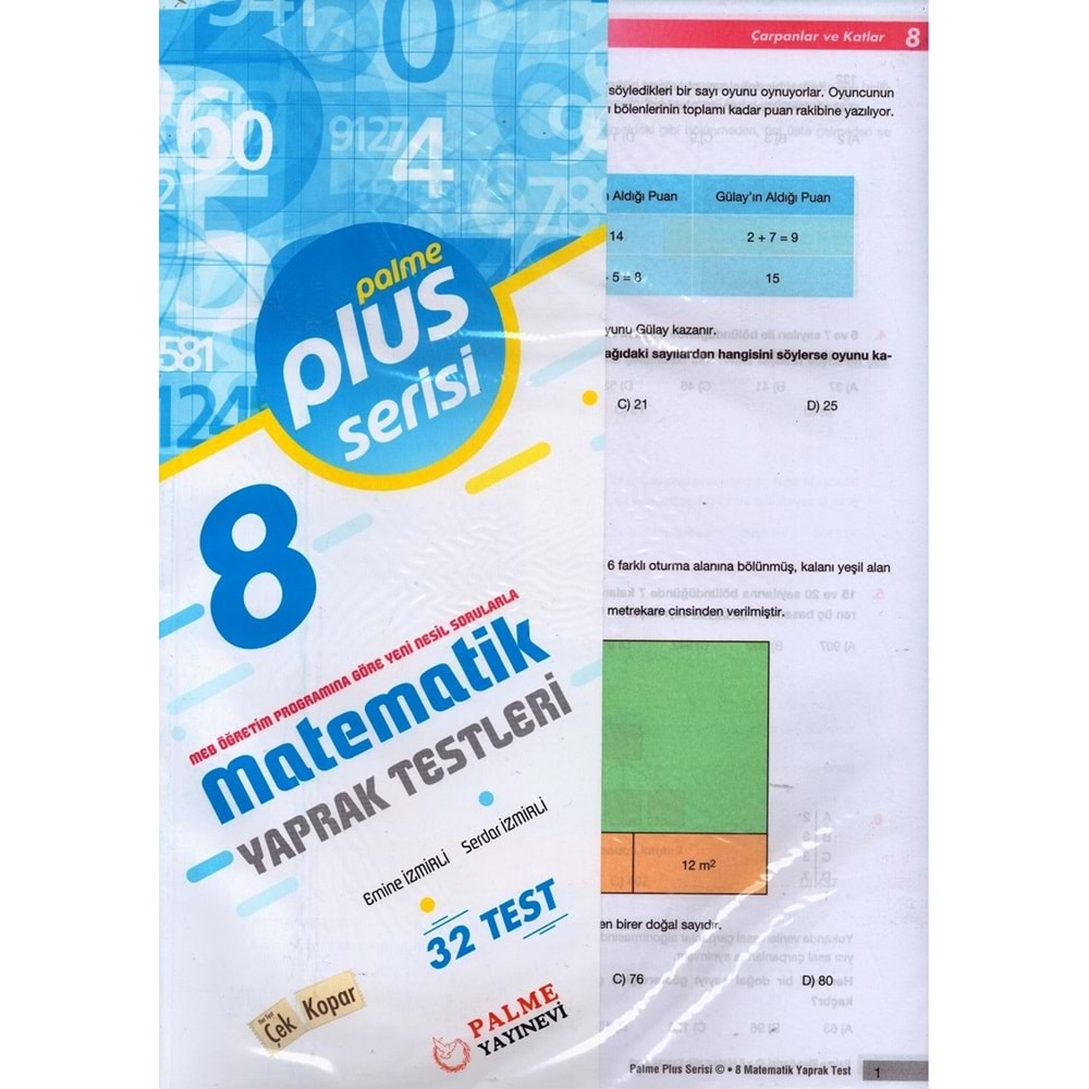 PALME 8.SINIF PLUS MATEMATİK YAPRAK TEST